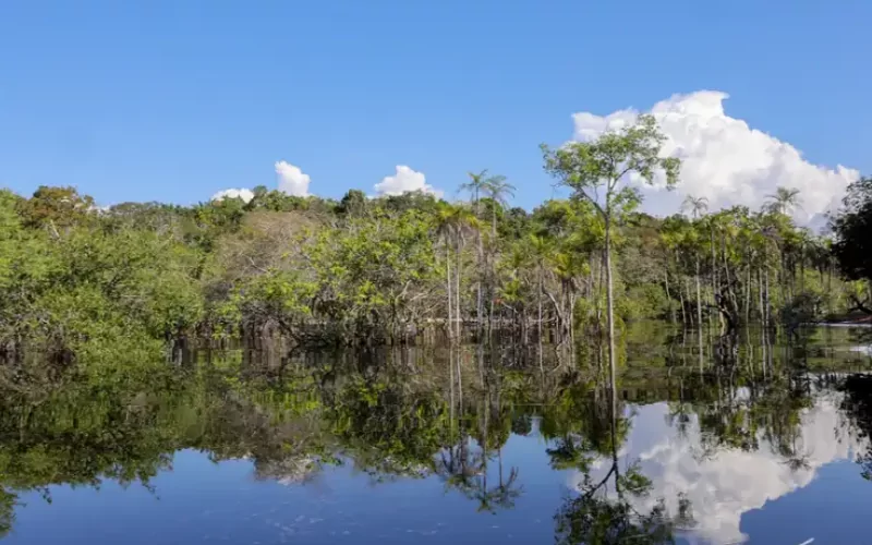 Amazonas